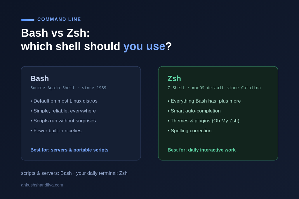 Bash vs Zsh: Which Shell Should You Use?